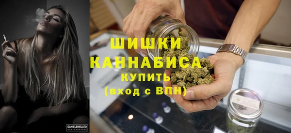 PSILOCYBIN Козельск