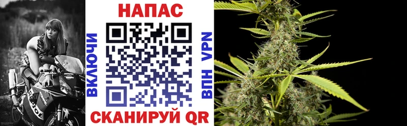 Купить  Изобильный  Конопля Bruce Banner 